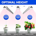 Barrina T5 Plant Lights, 5W LED Grow Light Strip, 1FT White Cover, 8 Packs - Image 3