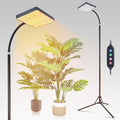 FECiDA 76" Standing Grow Lights for Tall Indoor Plants, Bonsai Tree, 1Head by FECiDAGrowLight
