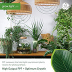 GE Grow Lights for Indoor Plants, A19 LED Light Bulbs for Seeds and Greens with Balanced Light Spectrum, White Indoor Plant Light, 25,000 Hours Lifespan, 16 PPF, 4 Pack (Packaging May Vary) - Image 3