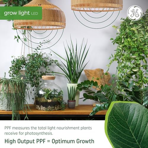GE Grow Lights for Indoor Plants, BR30 Indoor Floodlight, 4 Pack - Image 3