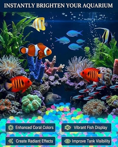 2026 Colorful Glow-in-the-Dark Garden Stones Night Guide Luminous Pebbles for Outdoor Garden Landscaping Fish Tank Aquarium Decorations Stepping Rocks Outdoor Decor(1000pcs Multicolor) - Image 5