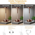 LED Cordless Table Lamp Rechargeable,Battery Powered Outdoor Table Light - Image 3