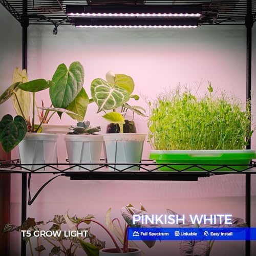 Barrina T5 Grow Lights for Greenhouses, 1FT 5W, Full Spectrum, 8 Packs - Image 2