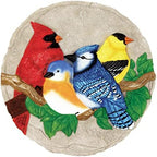 Spoontiques - Garden Décor - Bright Birds Stepping Stone - Decorative Stone for Garden - Image 4