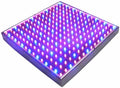 HQRP 14W 225 LED Blue + Red Spectrum Hydroponic Plant Grow Light Panel/Lamp by HQRP