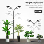 Garpsen Halo Grow Lights, Dual-Head 6000K LED Floor Plant Light with Base - Image 3