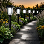 Solar Lights Outdoor 8 Pack, Cool White Solar Pathway Lights, Auto On/Off,Waterproof Solar Powered LED Landscape Lighting for Path Walkway Driveway Yard Garden Patio by DOESLAG