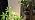 Plant Hanging Grow Light Full Spectrum Warm White Color with Timer, Plug-in Pendant Grow Lights,Large Black Luxury LED Grow Lights,Indoor Pendant lamp - Image 7