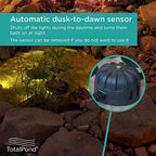TotalPond Pond and Landscape LED Lights, 3-Piece Set, Height : 5.91 Width : 8.7 Depth : 8.7 (Pack of 4) - Image 6