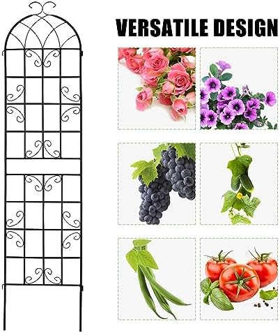 4 Pack 86.2x19.7in Metal Garden Trellis for Climbing Plants,Black Metal Garden Trellis for Vines Plant Rose Vegetable Support,Large Decorative Outdoor Trellis - Image 5
