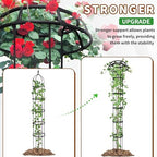 2 Pack Umbrella Top Trellis for Climbing Plants, 76 Inch Tall Adjustable Plant Support for Outdoor Indoor Garden, Sturdy Metal Core with Plastic Coating, Black - Image 4