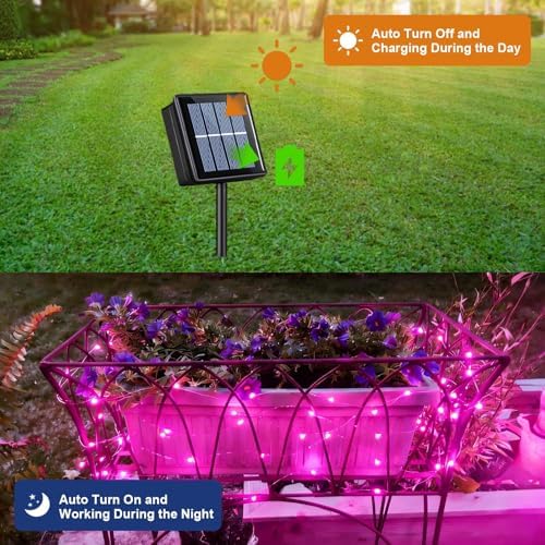 YEGUO 4 Pack Pink Solar Fairy Lights, Each 33ft 100 LED Christmas Lights Outdoor Waterproof, 8 Modes Sliver Wire Solar String Lights - Image 2