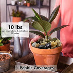 YISZM 40lbs Pebbles for Landscaping Garden Indoor Plants, 1-2 Inch Mixed Color High Polished River Rocks Outdoor Decorative Stones Outdoor Vase Filler Fish Tank Aquariums and Indoor DIY - Image 4