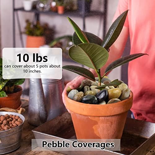YISZM 40lbs Pebbles for Landscaping Garden Indoor Plants, 1-2 Inch Mixed Color High Polished River Rocks Outdoor Decorative Stones Outdoor Vase Filler Fish Tank Aquariums and Indoor DIY - Image 4