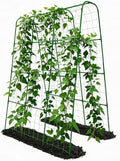 Cucumber Trellis for Raised Bed with Plastic Coated Steel Pipe-63"*50",Grn by TrellumeGardenHome
