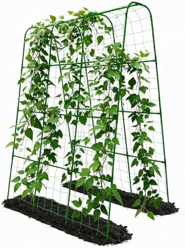 Cucumber Trellis for Raised Bed with Plastic Coated Steel Pipe-63"*50",Grn by TrellumeGardenHome