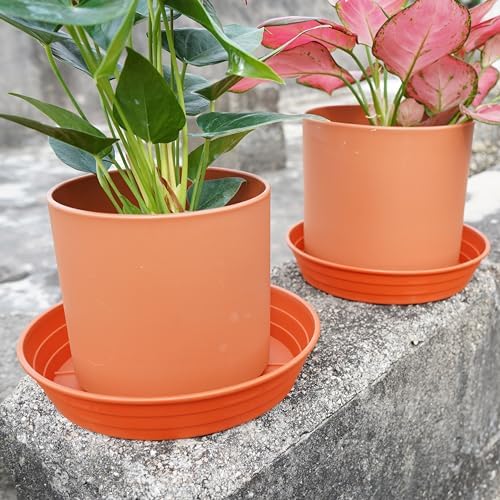 LWALRS Plant Saucer 14 Inch 4 Pack 6 8 10 12 14 16 18 20 25, Plastic Plant Trays for Pots，Extra-Deep Plant Water Dray Tray, Bird Bath Bowl, Heavy Flower Plant Saucers Indoors and Outdoor No Holes - Image 5