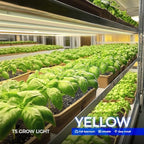 Barrina T5 Grow Lights for Plant Shelf, Yellow 4FT, 8 Packs, White Cover - Image 2
