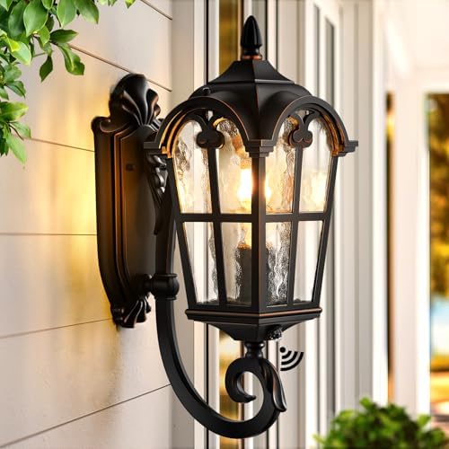 VIANIS Outdoor Lights for Porch, Black Dusk to Dawn Outside Lighting by VIANISLIGHTING