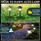 Tuanse 20 Pack Solar Pathway Lights Outdoor - Waterproof LED Bulk Solar Landscape Walkway Lights for Yard Garden Patio Lawn Decoration(White Light) - Image 5