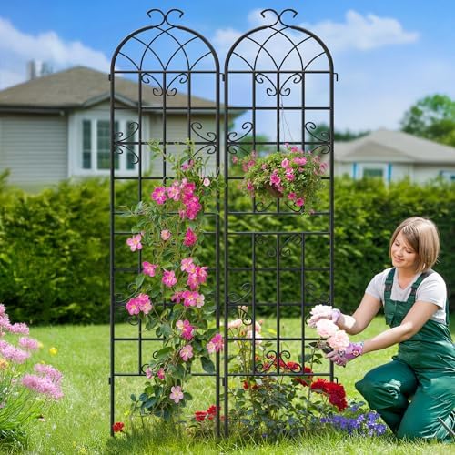 4-Pack 87" x 20" Butterfly Arch Black Metal Garden Trellises - Image 3