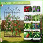 2 Pack 86.7" H x 19.7" W Black Metal Garden Trellis for Climbing Plants Outdoor, Heavy Duty Tall Plant Support for Roses, Vines, Cucumbers, Clematis, Flowers & Vegetables - Image 6
