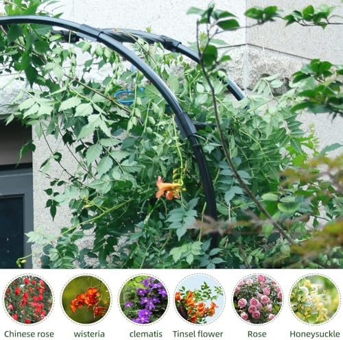 Half Arch Trellis - Garden Arch Trellis Size: 24in(L)*94.5in(H) - Image 3