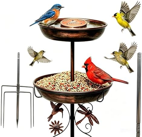2-in-1 Bird Bath Feeder Set Antique Bronze with Copper Disk by IILIKEBIRD