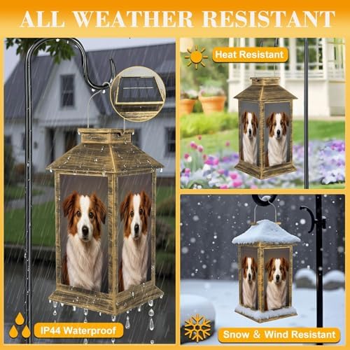Solar Lantern Outdoor Waterproof Purebred Australian Shepherd Dog Dog Portrait Garden Decor LED Hanging Solar Lights Tabletop Lamp Gifts for Women Mom Outside Yard Patio Porch - Image 3