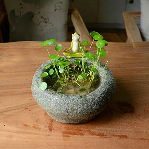 Top Collection Garden Frog Meditating On Large Functional Stone Flower Pot Planter Figurine - Image 4