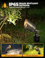 COLOER 5W 12V Brass Outdoor Landscape Spot Light with Bulb(1Pack) - Image 5