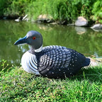 Loon Outdoors Bird Garden Decor Backyard Birds Statues Cute Sculpture - Image 6