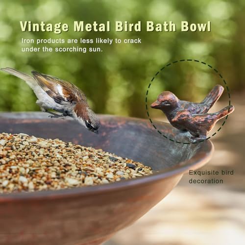 Cast Iron Pedestal Bird Bath,Metal Bird Bath for Outdoor,Vintage Birdbath - Image 5