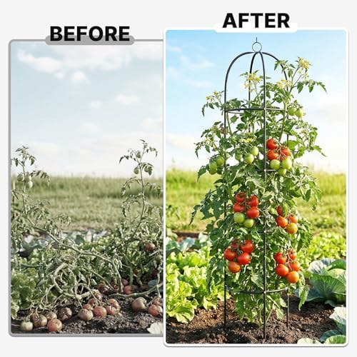 Metal Trellis for Climbing Plants Outdoor, 2026 Upgrade 100% Metal with Powder Coating, Rose, Flowers, Grape, Pea, Cucumber Tomato Cage - 6.3 FT Freestanding Plant Support - Image 6