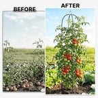 Metal Trellis for Climbing Plants Outdoor, 2026 Upgrade 100% Metal with Powder Coating, Rose, Flowers, Grape, Pea, Cucumber Tomato Cage - 6.3 FT Freestanding Plant Support - Image 6