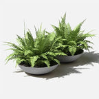 Veradek Mason Series Lane Bowl Planter-Large Round Planter for Indoor or Outdoor Tabletops/Gardens |Made from Plastic & Concrete with Drainage Holes|Modern Décor for Flowers, Succulents, Small Plants - Image 7