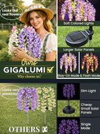 GIGALUMI 6 Pack Solar Wisteria Flowers Outdoor, 2 Modes, Multicolored - Image 2