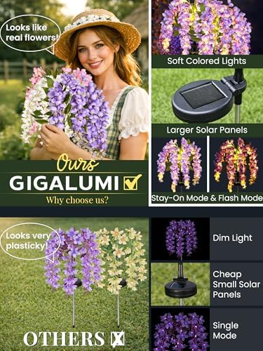 GIGALUMI 6 Pack Solar Wisteria Flowers Outdoor, 2 Modes, Multicolored - Image 2
