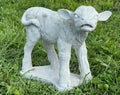 Standing Calf Concrete Statue Farm Animal Decoration Baby Cow Figurine Outdoor Real Size Calf Figure Garden Decor by Unknown