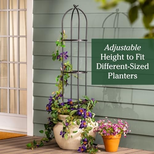 Evergreen Metal Garden Obelisk Trellis for Climbing Plants Outdoor, Indoor Plant Trellis for Potted Plants, Floral Pattern Arch Trellis (Black, 7 ft. Round, Set of 2) - Image 5