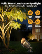COLOER 5W 12V Brass Outdoor Landscape Spot Light with Bulb(1Pack) - Image 2