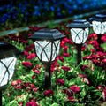 GIGALUMI 8 Pack Solar Lights Outdoor Waterproof, LED Solar Garden Lights by GIGALUMI