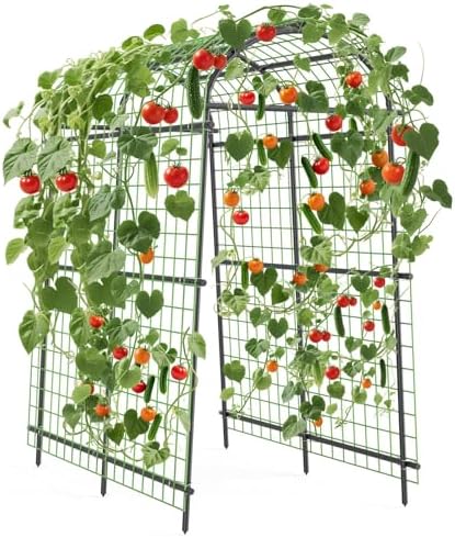 Garden Arch Trellis, 7.5FT Extra Tall Polyethylene-Coated Stainless Steel Garden Trellis for Cucumbers, Melons, Vegetables, Peas, Tomatoes & Climbing Vegetables, Outdoor Rust-Resistant Trellis - Image 4