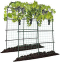 VIVOSUN 7Ft. Arch Trellis for Climbing Plants, 7 x 6 x 7ft Tall Metal Tunnel Trellis, Lightweight Metal Plant Support Archway with Nylon Netting for Climbing Vine, Vegetables, Fruits, Flowers, Black by VIVOSUN