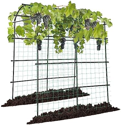 VIVOSUN 7Ft. Arch Trellis for Climbing Plants, 7 x 6 x 7ft Tall Metal Tunnel Trellis, Lightweight Metal Plant Support Archway with Nylon Netting for Climbing Vine, Vegetables, Fruits, Flowers, Black by VIVOSUN