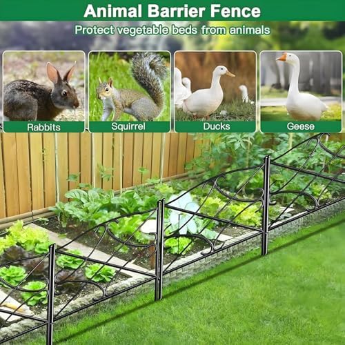 AMAGABELI GARDEN & HOME 5 Panels 32in(H)×10ft(L) Decorative Garden Fences and Borders for Dogs Rustproof Metal No Dig Fence Panels Garden Edging Border for Animal Barrier Flower Beds Yard Patio - Image 4