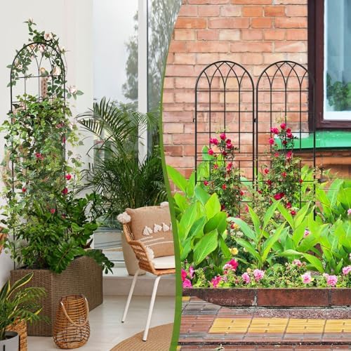 4 Pack Metal Garden Trellis for Climbing Plants, Black - Image 6