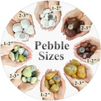 FANTIAN 20 lbs Red River Rocks for Garden, 2-3 Inch Polished Pebbles for Indoor Plants, Decorative Rocks Stones for Landscaping, Plants, Vases, Aquariums, Fountains, Pathways and Backyard - Image 2