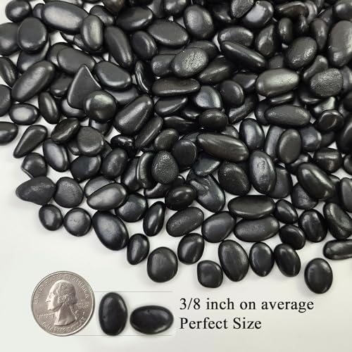 FANTIAN 10 lbs Small Black Pebbles for Indoor Plants. 3/8 inch Decorative Black River Rocks for Succulent Potted Plant, Vase, Landscaping and Outdoor Garden Rocks - Image 2
