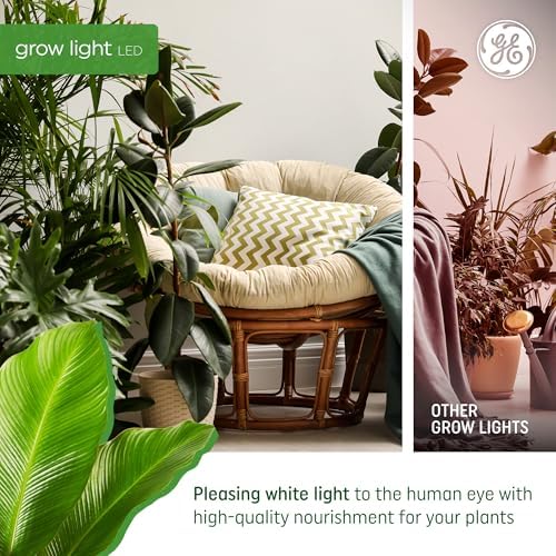 GE Grow LED Light Bulb, PAR38 Flood Light, Indoor LED Grow Lights for Plants, Seeds and Greens, Balanced Light Spectrum, 25,000 Hours Lifespan, 50 PPF, 1 Pack (Packaging May Vary) - Image 4